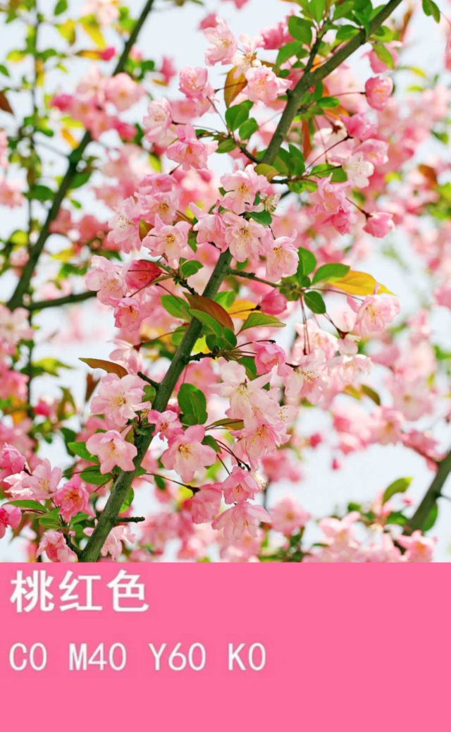 【完满演绎·课堂篇】致青春斑斓色彩,记校园芳草诗会