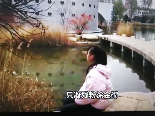 【完满演绎·课堂篇】做最雅的人,读最广博的书——《红楼梦》经典故事课堂演绎