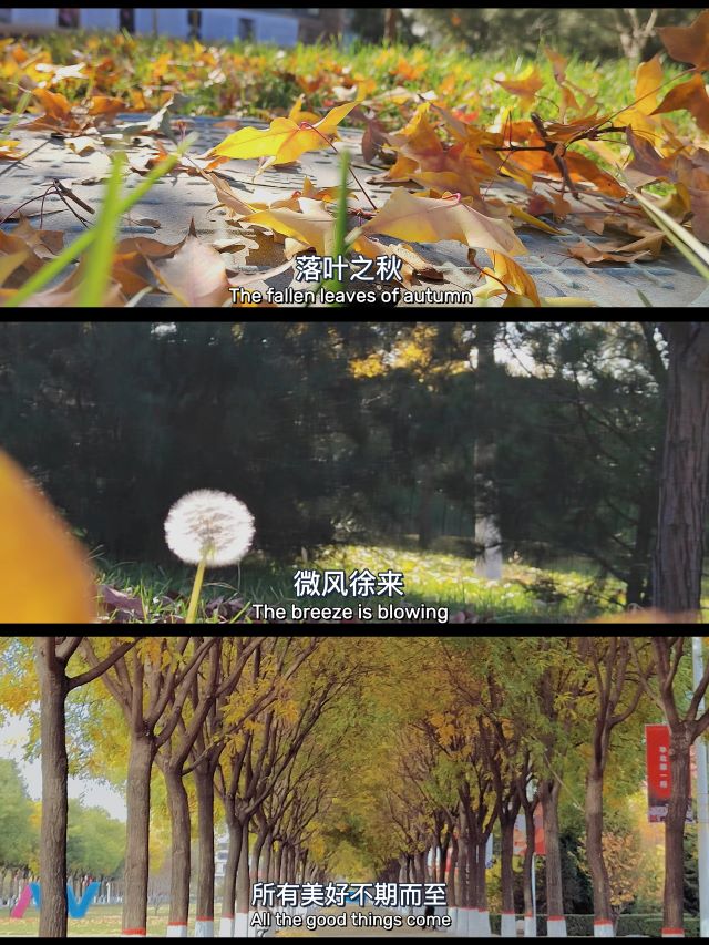 【书院直击·导师篇】直面春花绚烂,静观秋叶静美——“秋日拾趣”导师组期中座谈会