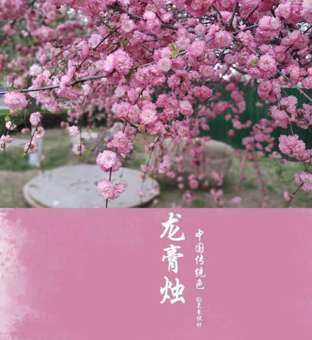 【完满演绎·课堂篇】致青春斑斓色彩,记校园芳草诗会