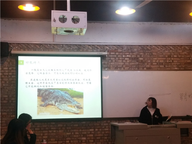 【完满演绎·课堂篇】生命多彩,尽在发现(一)