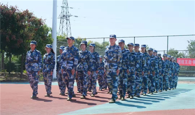 【书院直击·导师篇】 胸怀梦想,笃信前行——刘婷婷导师团队年度总结