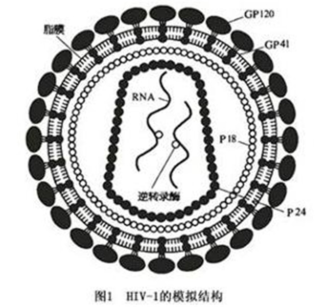 【完满演绎·课堂篇】知艾防艾,你我共同参与