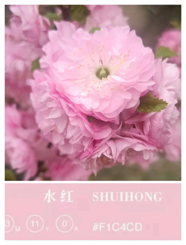 【完满演绎·课堂篇】致青春斑斓色彩,记校园芳草诗会