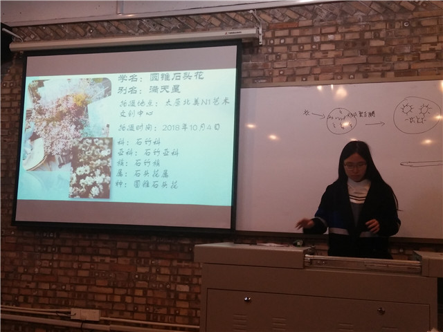 【完满演绎·课堂篇】生命多彩,尽在发现(一)