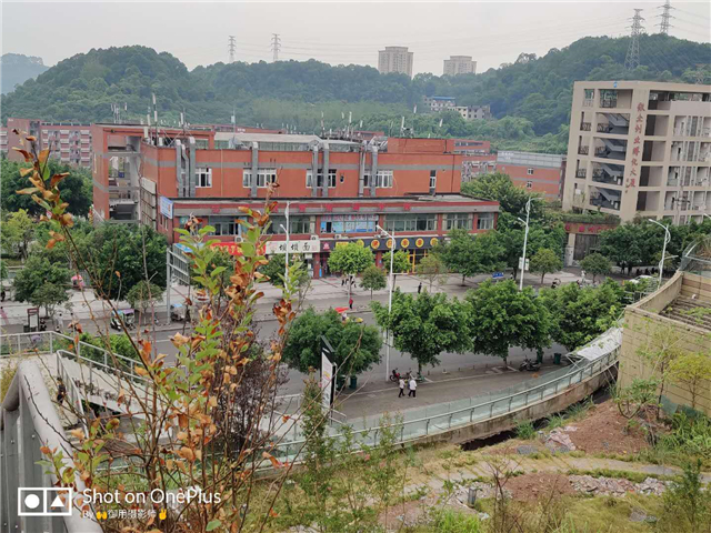 【两校交流·学子篇】听歌最怕应景，触景最怕生情