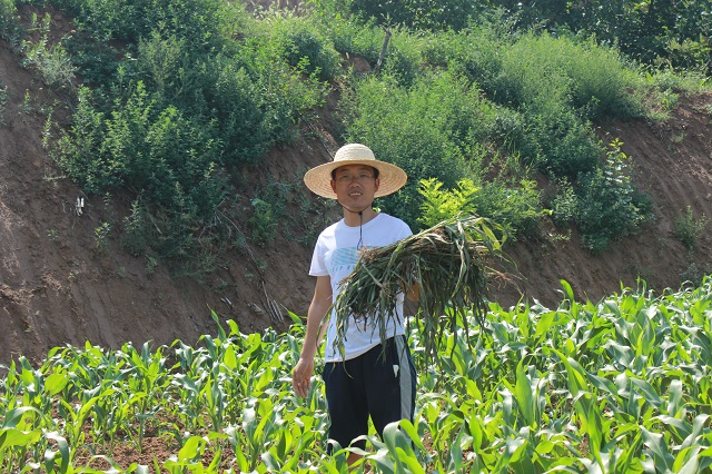 蓦然回首 听一则田园故事 看一片风轻云淡