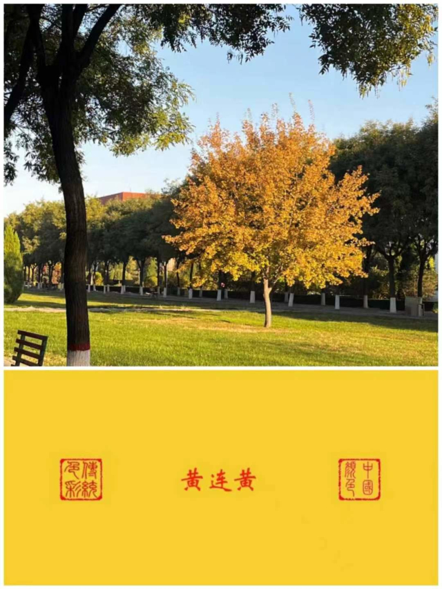 【完满演绎·课堂篇】致青春斑斓色彩,记校园芳草诗会